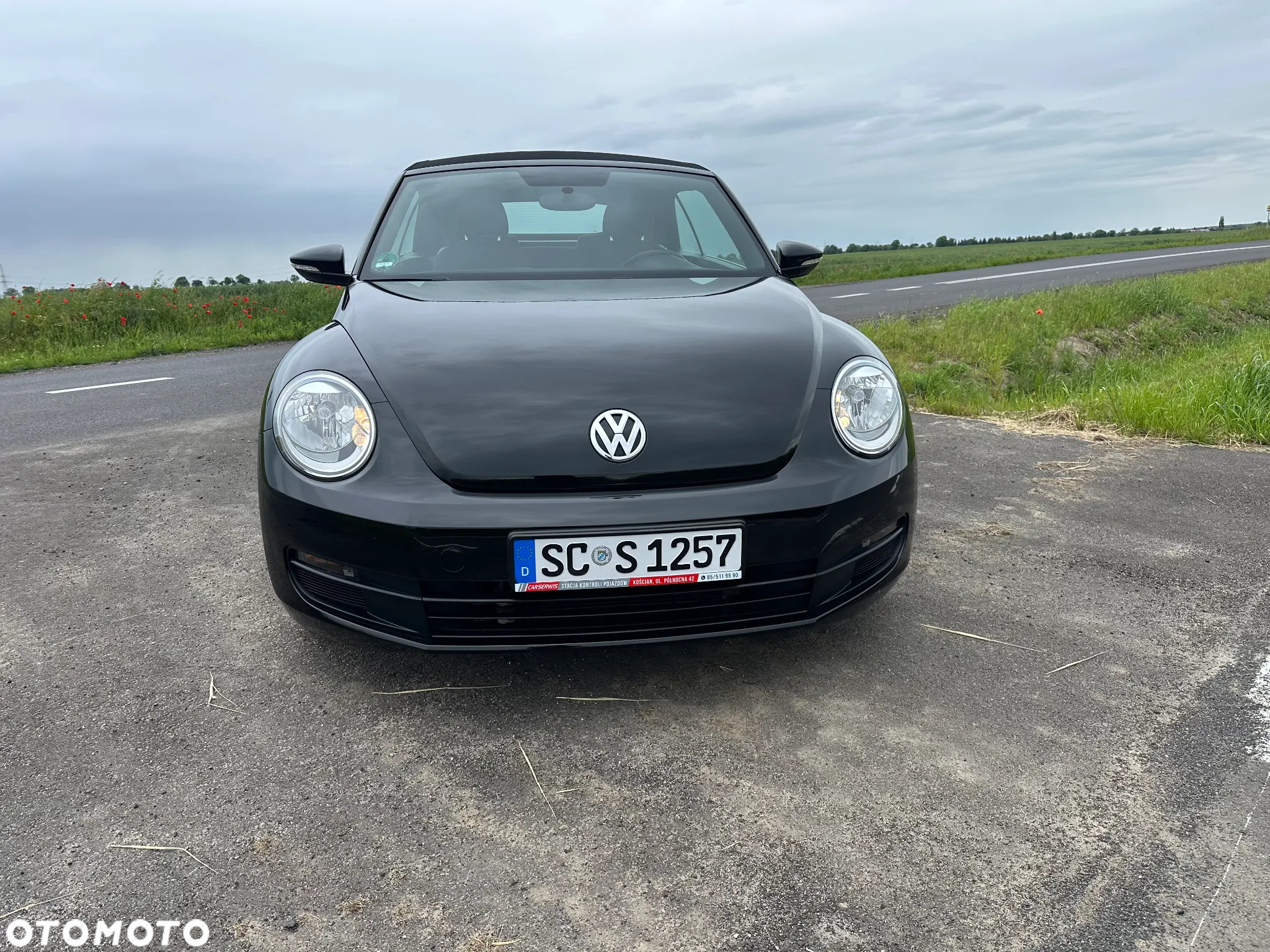 Volkswagen Beetle - 2