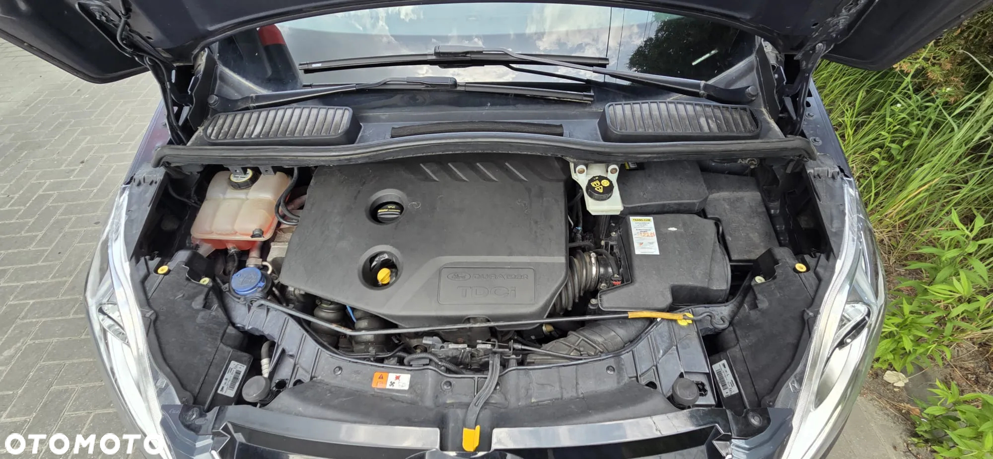 Ford C-MAX 1.6 TDCi Start-Stop-System Champions Edition - 39