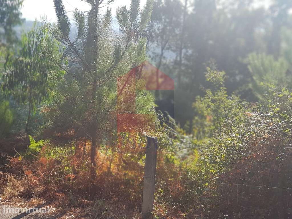 Terreno para construção em Gême, Vila Verde - Grande imagem: 5/7