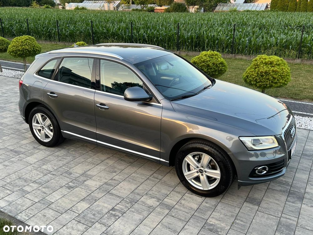 Audi Q5 - 18