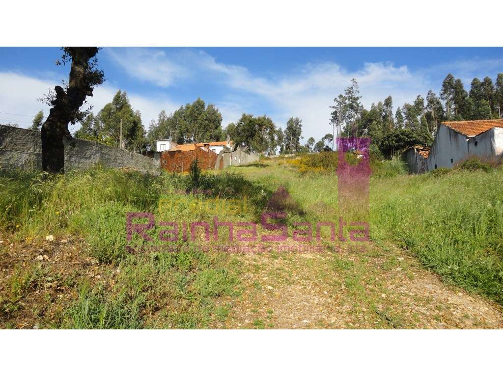 Terreno c/ viabilidade de construção - Coimbra - Grande imagem: 3/6