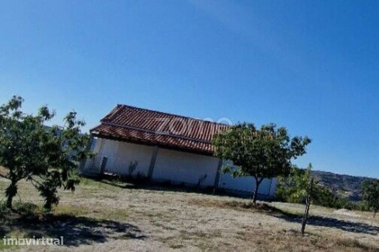 Terreno, 149 500 m², Alijo