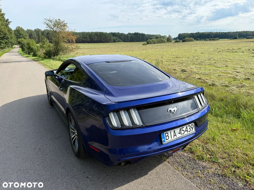 Ford Mustang - 6