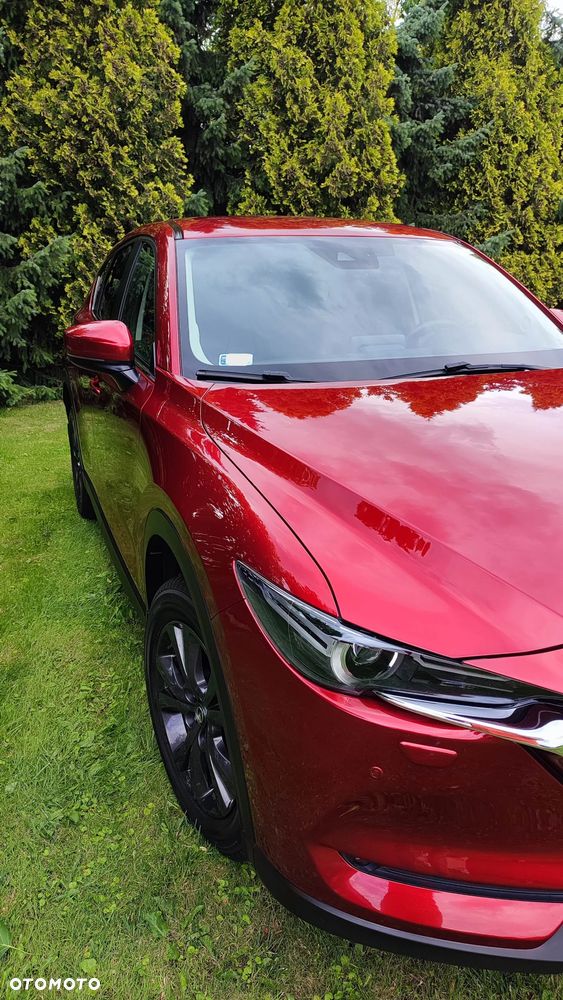 Mazda CX-5 2.0 Skyenergy 2WD - 2