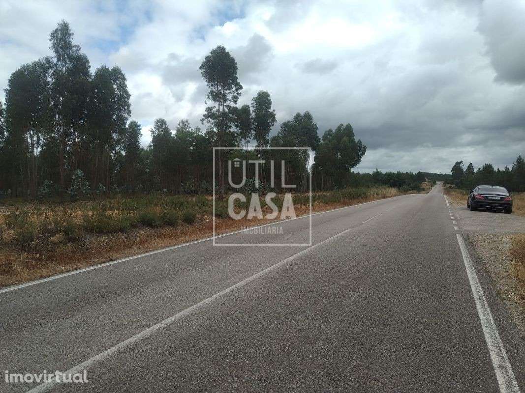 Terreno em Ortiga (Mação) - Grande imagem: 2/5