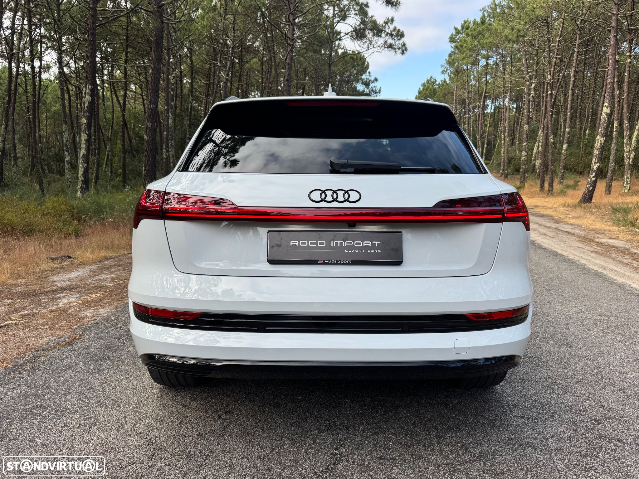 Audi e-tron 55 quattro - 19