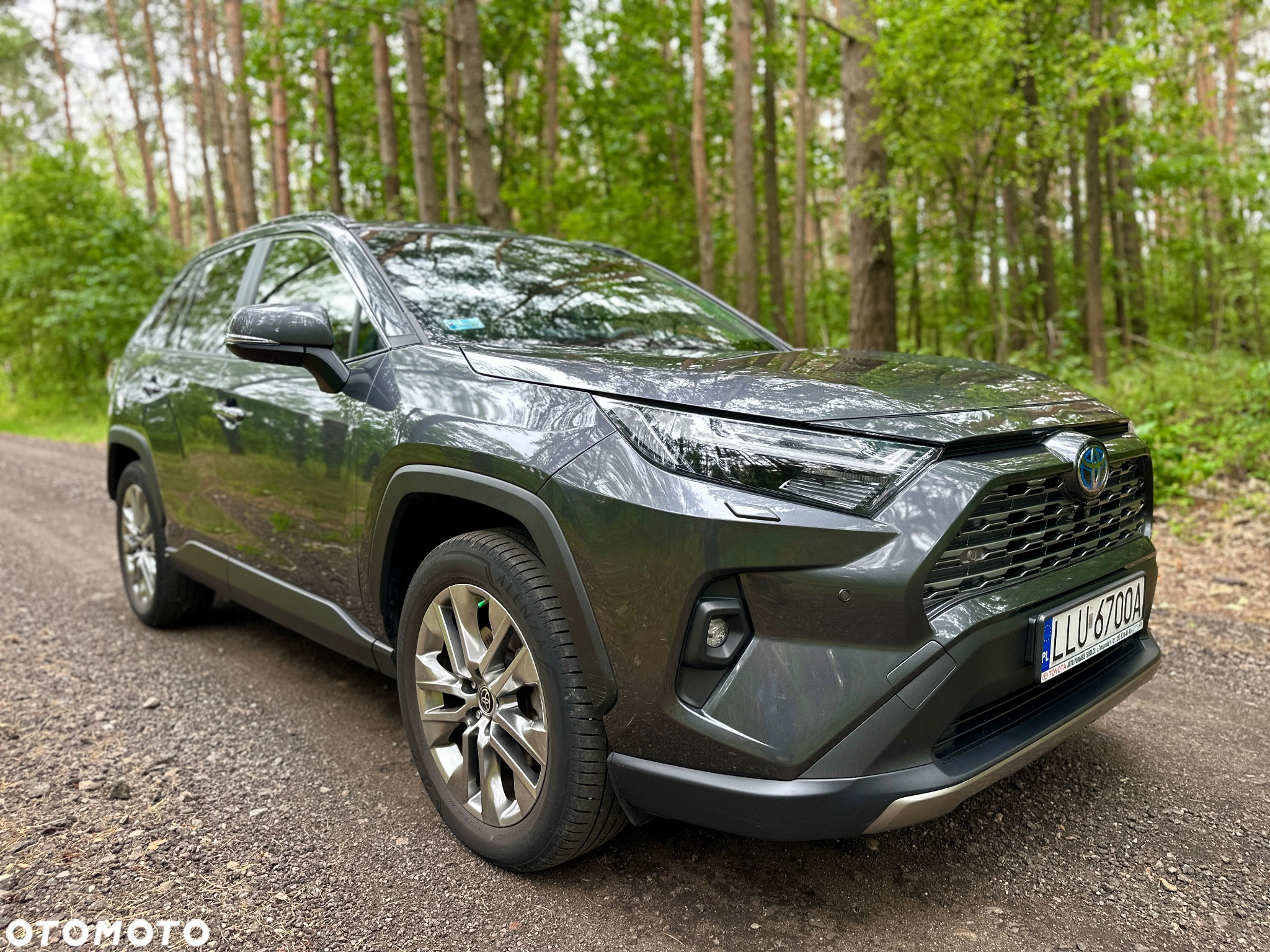 Toyota RAV4 2.5 Hybrid Executive 4x2 - 4