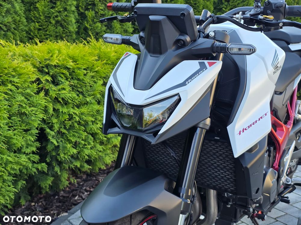Honda Hornet - 19