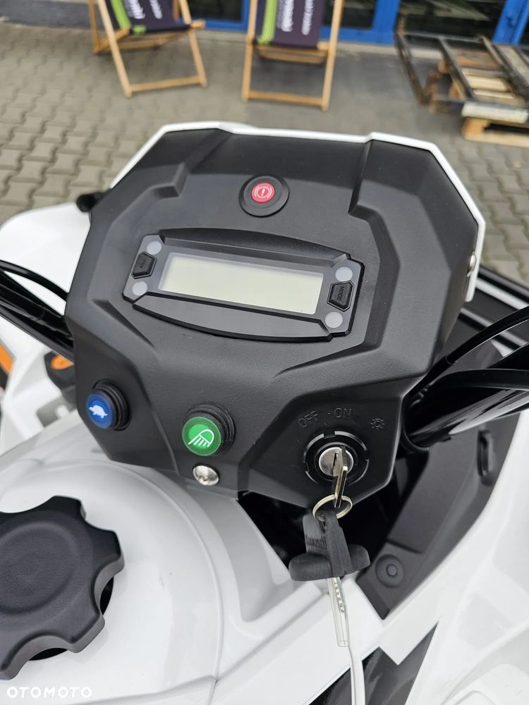 Kawasaki Brute Force - 9