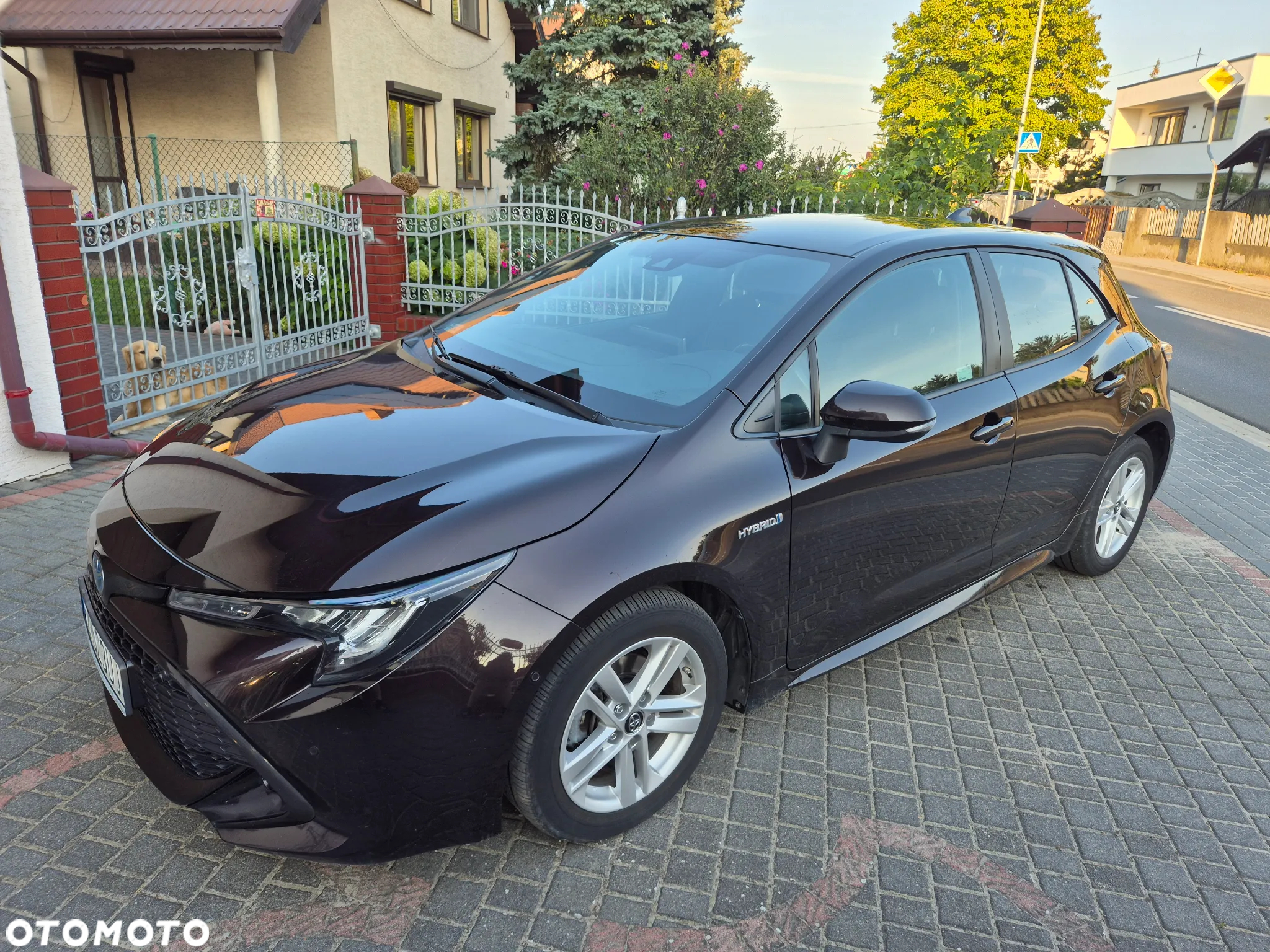 Toyota Corolla 1.8 Hybrid Comfort - 11