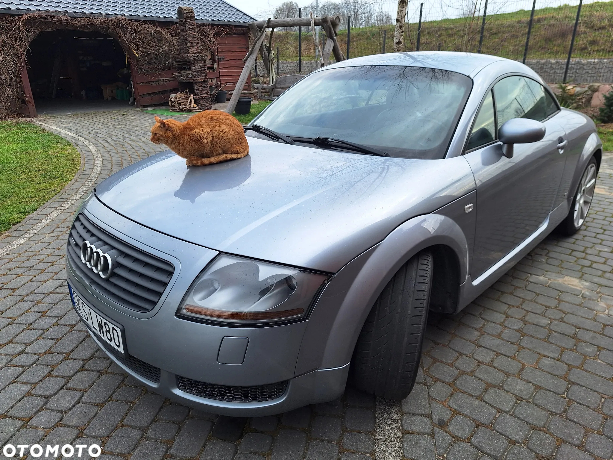 Audi TT Coupe 1.8T Quattro - 10