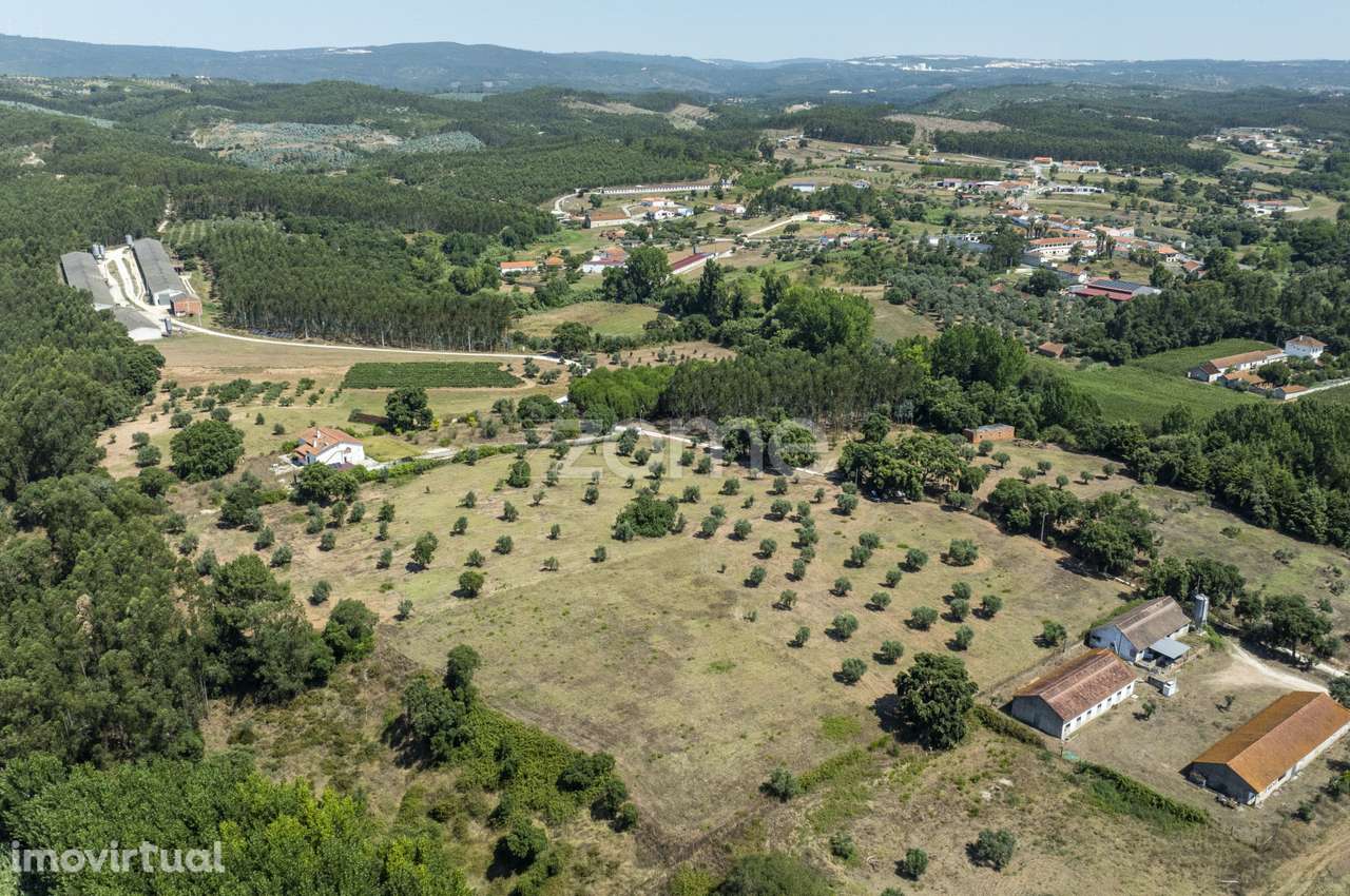 Terreno Rústico em Fráguas, Rio Maior com 12.880m2 - Grande imagem: 5/17