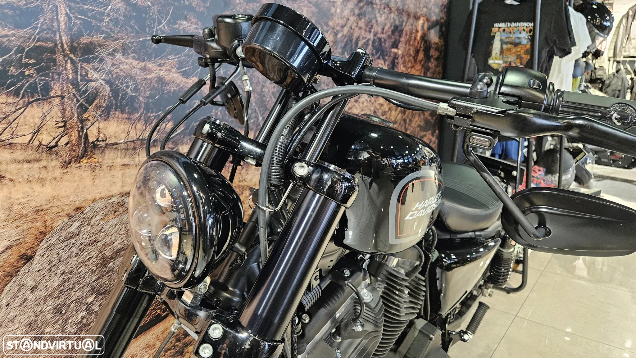 Harley-Davidson Sportster Roadster 1200 - 6
