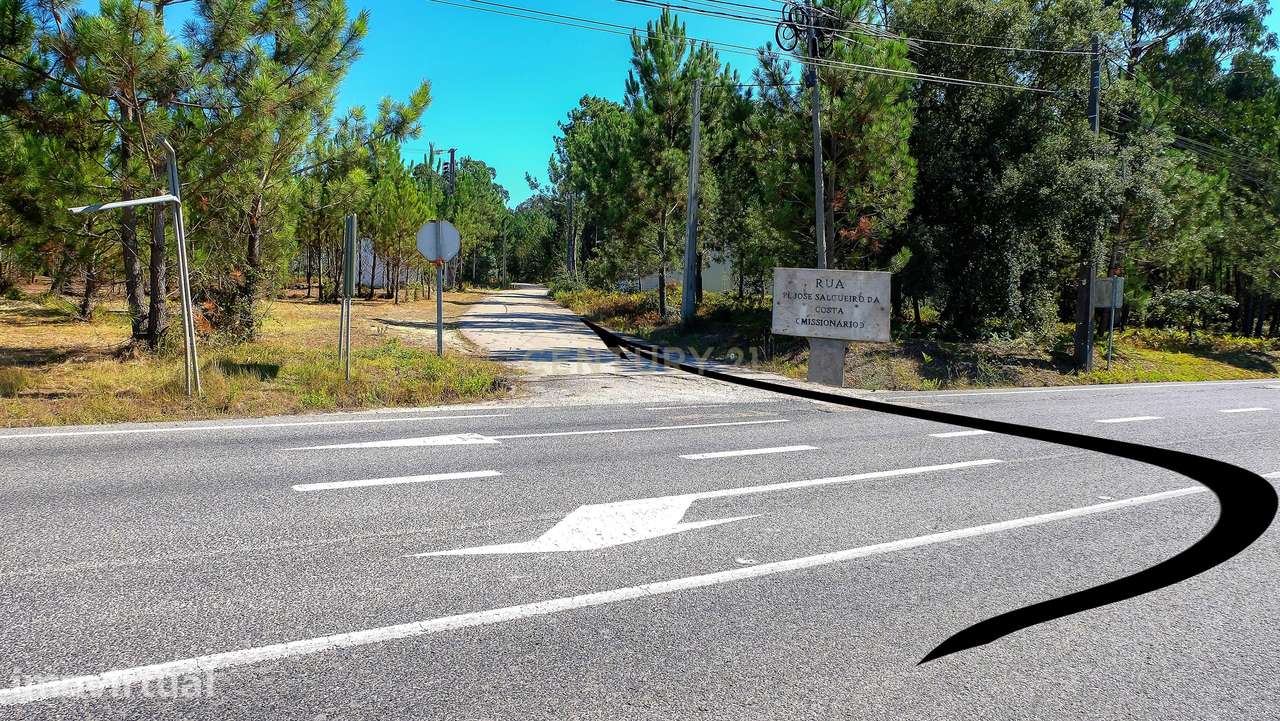 Terreno Plano  Para Construção Industrial - Grande imagem: 3/6