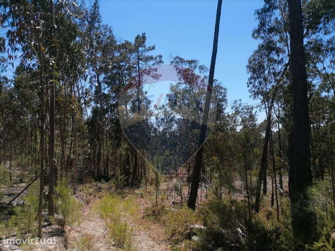 Terreno  para venda - Grande imagem: 2/16