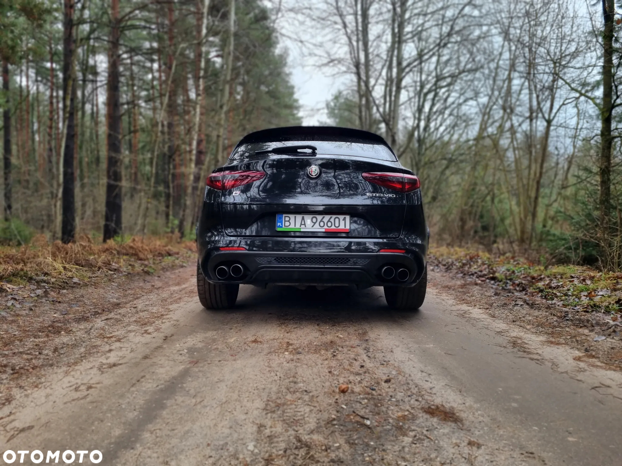 Alfa Romeo Stelvio 2.9 V6 Bi-Turbo Quadrifoglio Q4 - 6