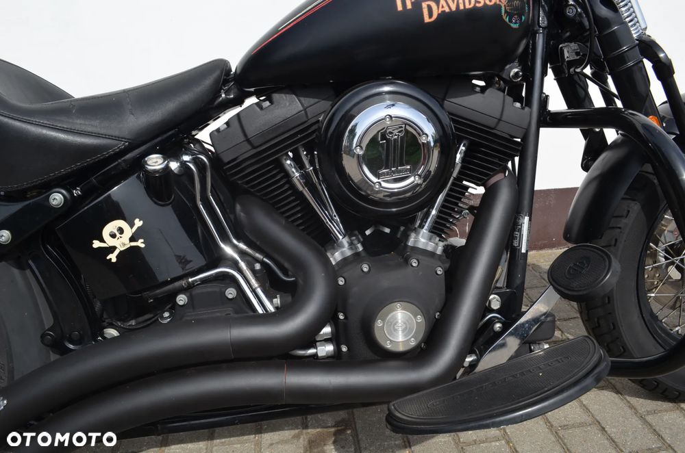 Harley-Davidson Softail Cross Bones - 14