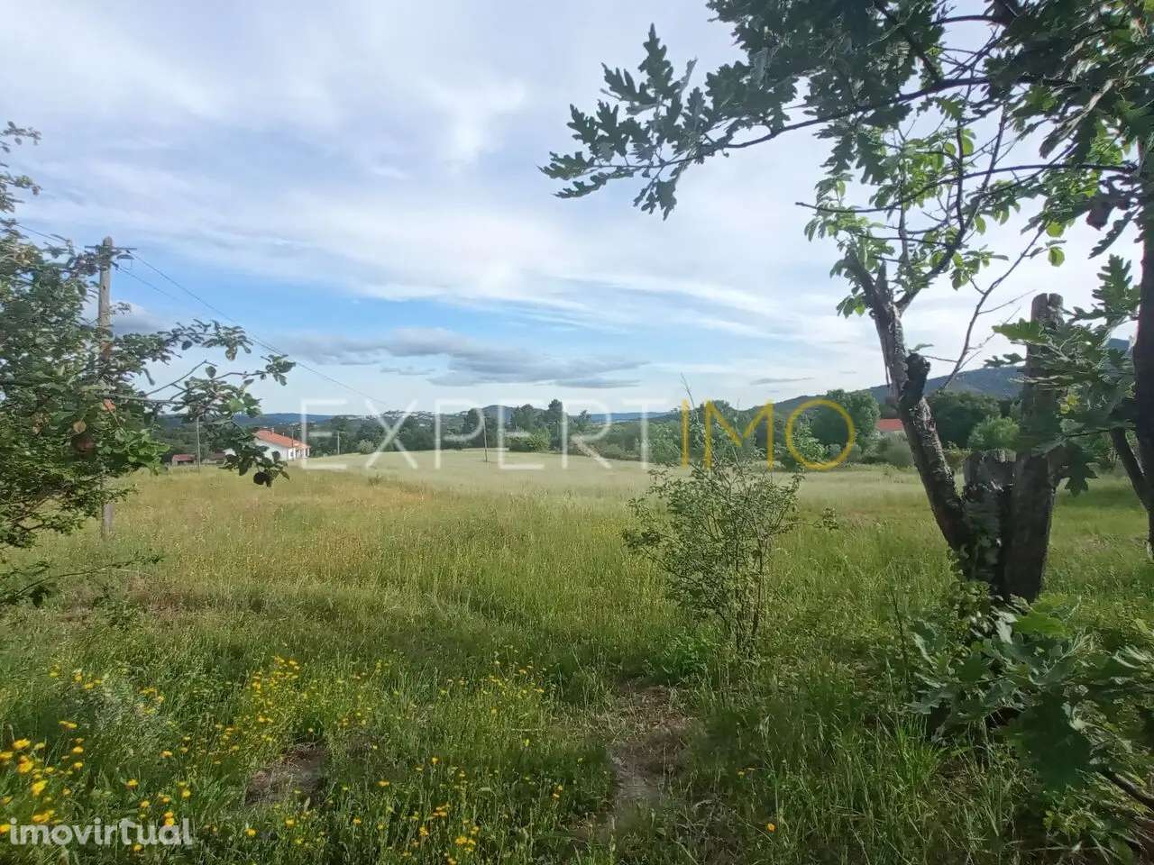 QUINTA SERRA DA ESTRELA, 1 hectare de terreno com casa para... - Grande imagem: 3/25