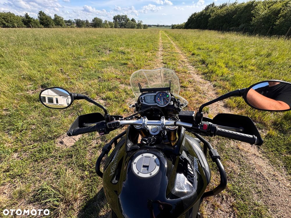 Triumph Tiger - 29