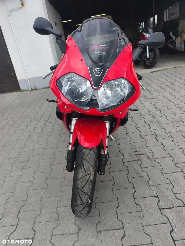Triumph Daytona - 30