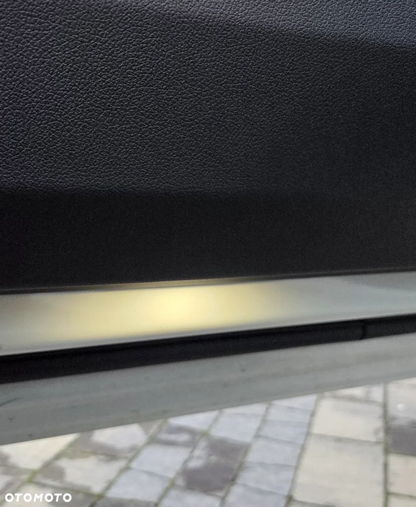BMW Seria 3 318i Advantage - 19