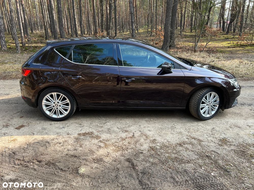 Seat Leon 1.5 EcoTSI Evo Xcellence S&S - 5