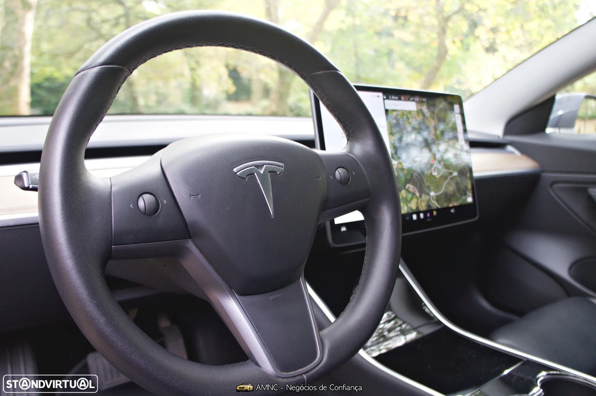 Tesla Model 3 Performance Dual Motor AWD - 30