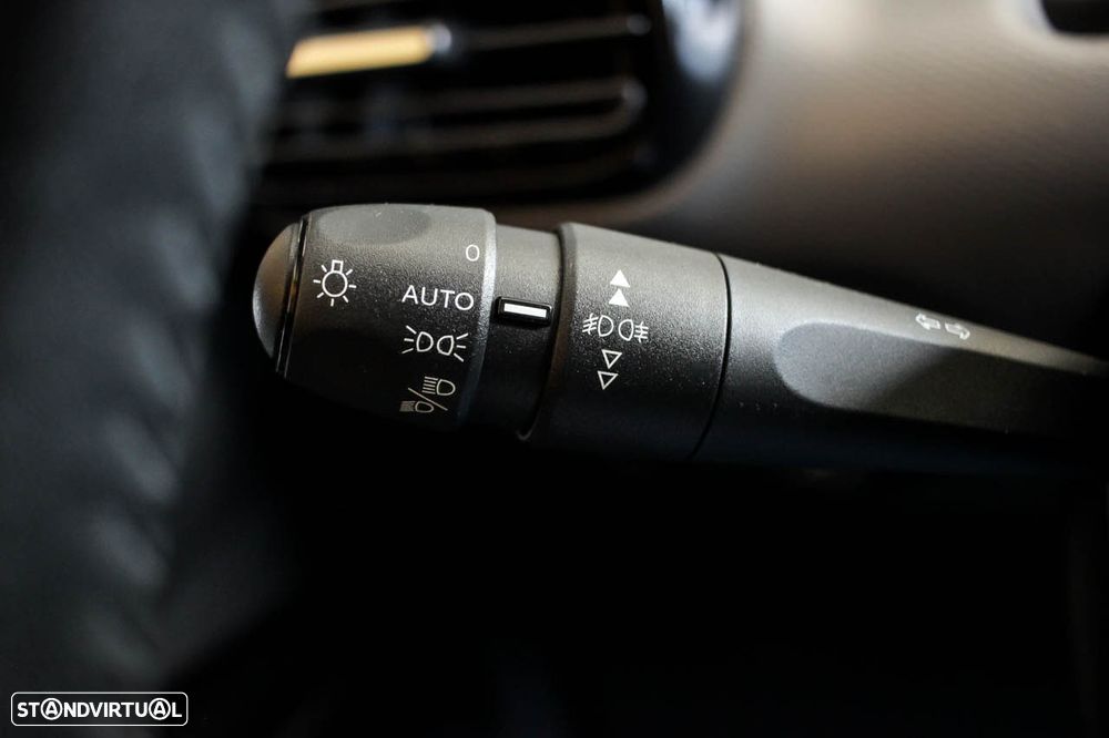 Citroën C4 Cactus 1.5 BlueHDi Shine - 19