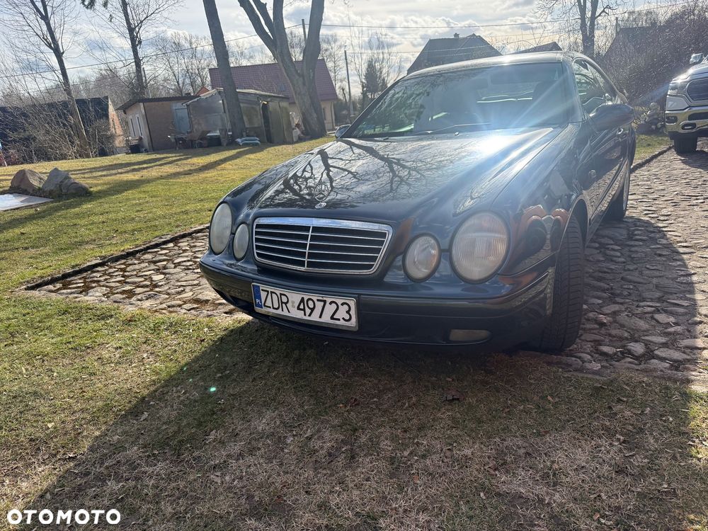 Mercedes-Benz CLK - 19