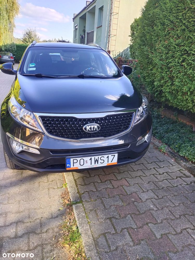 Kia Sportage - 6