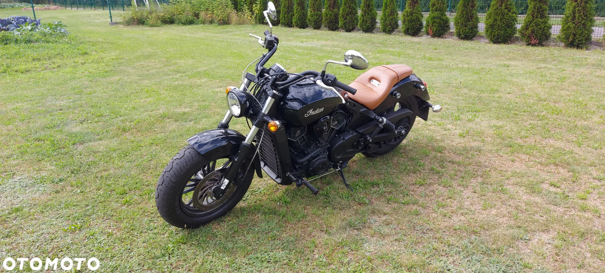 Indian Scout - 15
