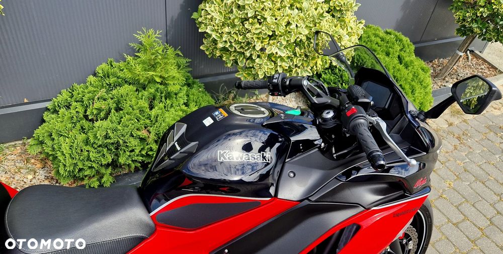 Kawasaki Ninja - 20