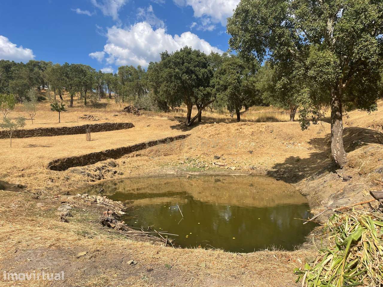 Terreno em Casal Figueira, Martinchel - Grande imagem: 4/20