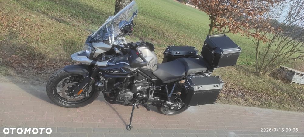 Triumph Tiger - 2
