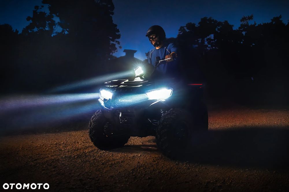 Kawasaki Brute Force - 14