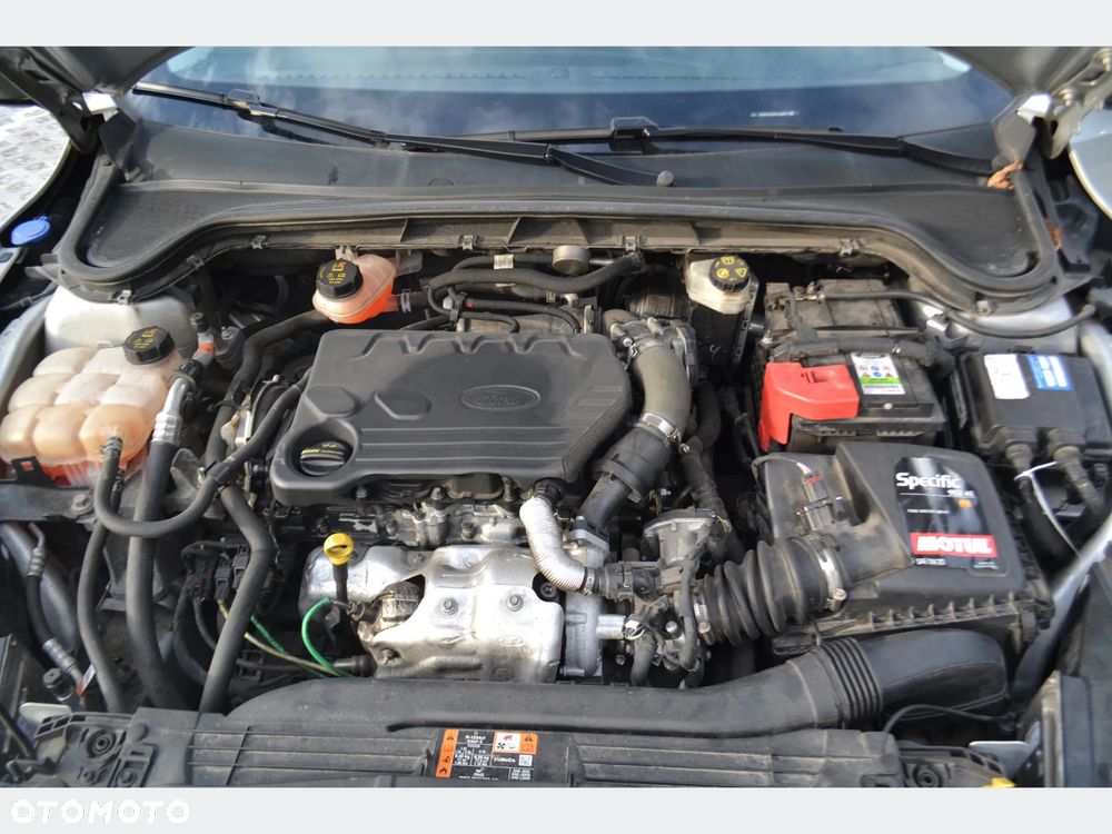 Ford Focus - 17