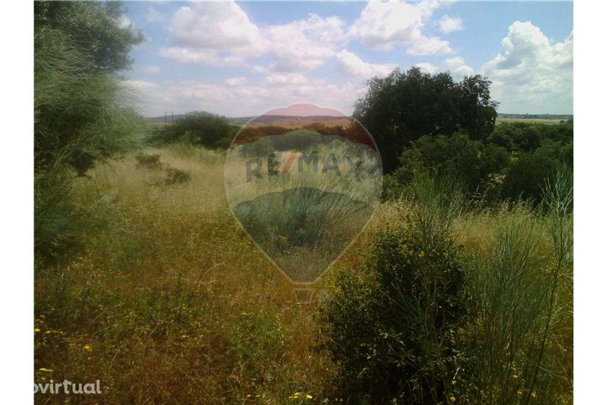 TERRENO COM 36.250 M2 - TERENA - ALANDROAL - Grande imagem: 5/6