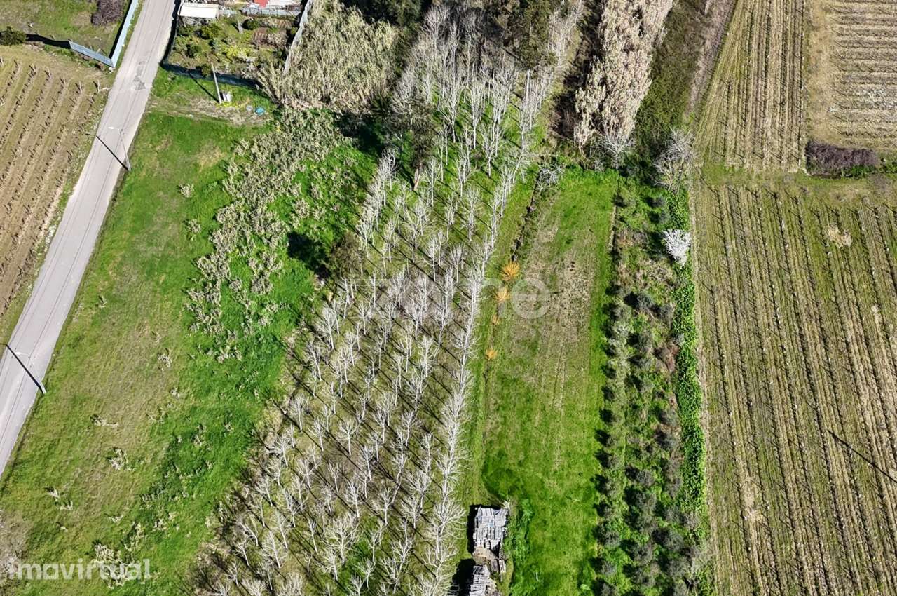 Terreno Urbanizável, 1840 m, Bairrada - Grande imagem: 2/16