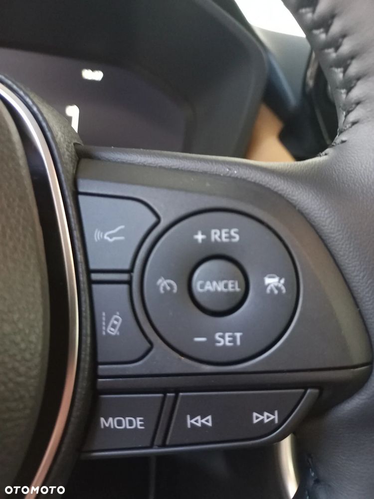 Toyota RAV4 2.5 Hybrid Executive 4x4 - 10