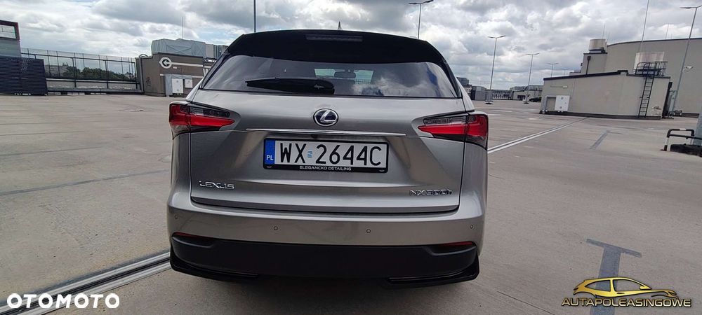 Lexus NX - 6