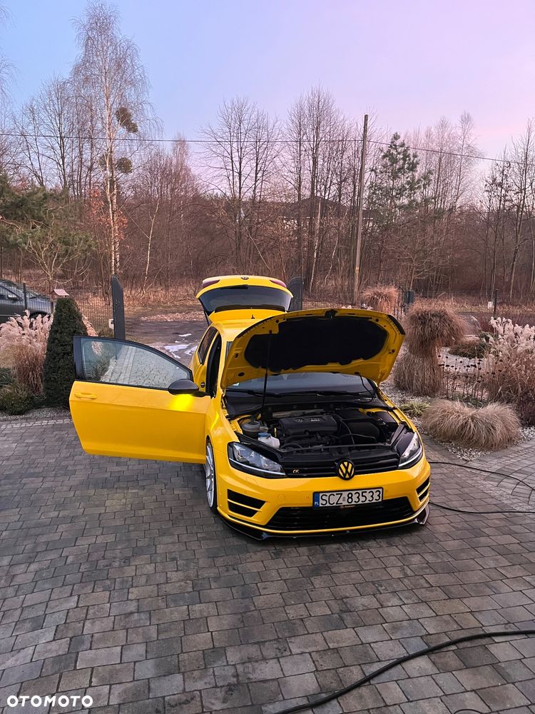 Volkswagen Golf - 21