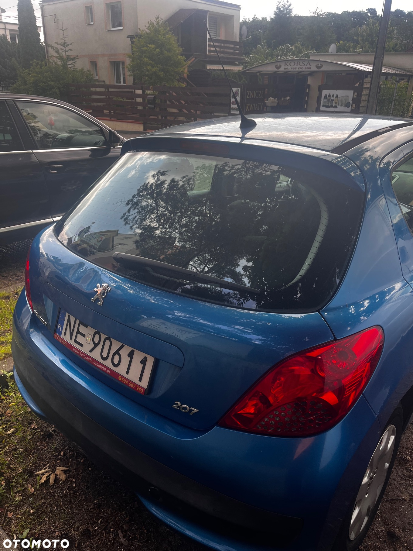 Peugeot 207 - 18