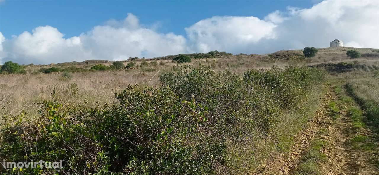 Terreno Rústico  Venda em São João das Lampas e Terrugem,Sintra - Grande imagem: 2/31