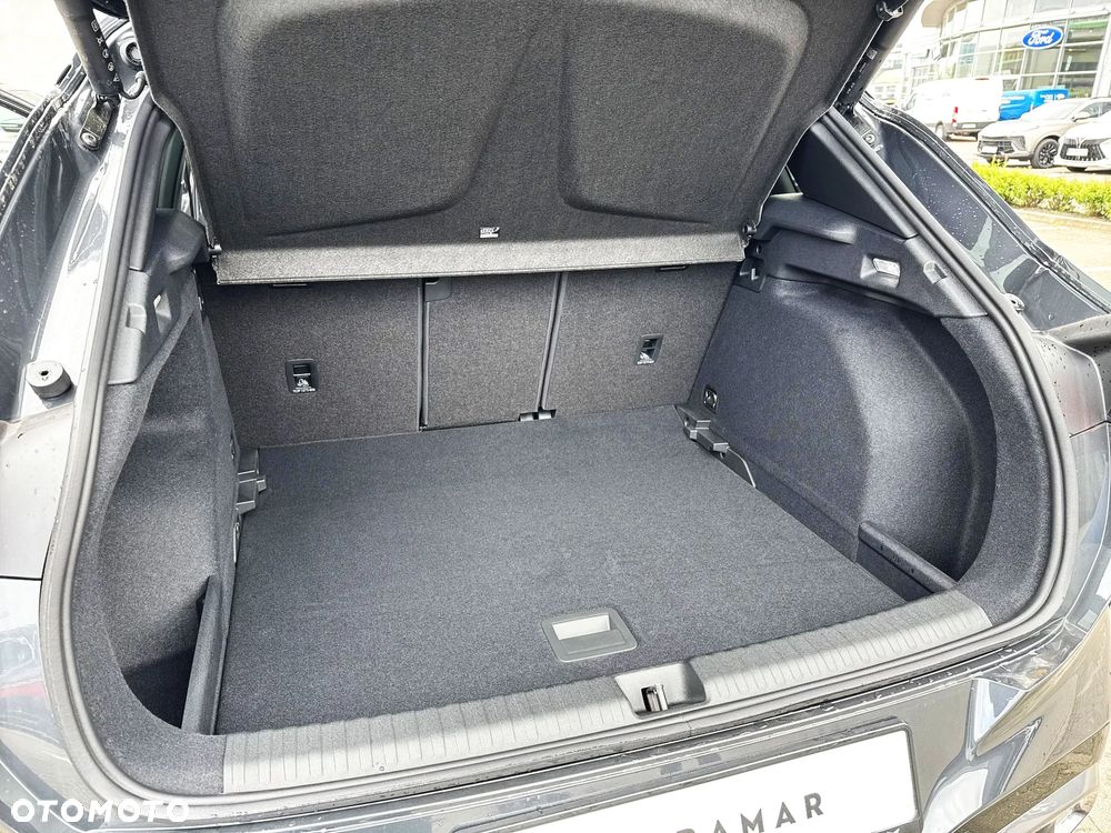Cupra Terramar - 19