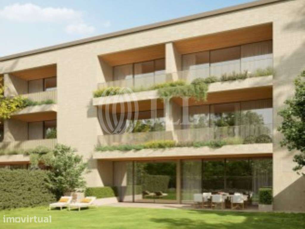 Foliage - Grande imagem: 5/26