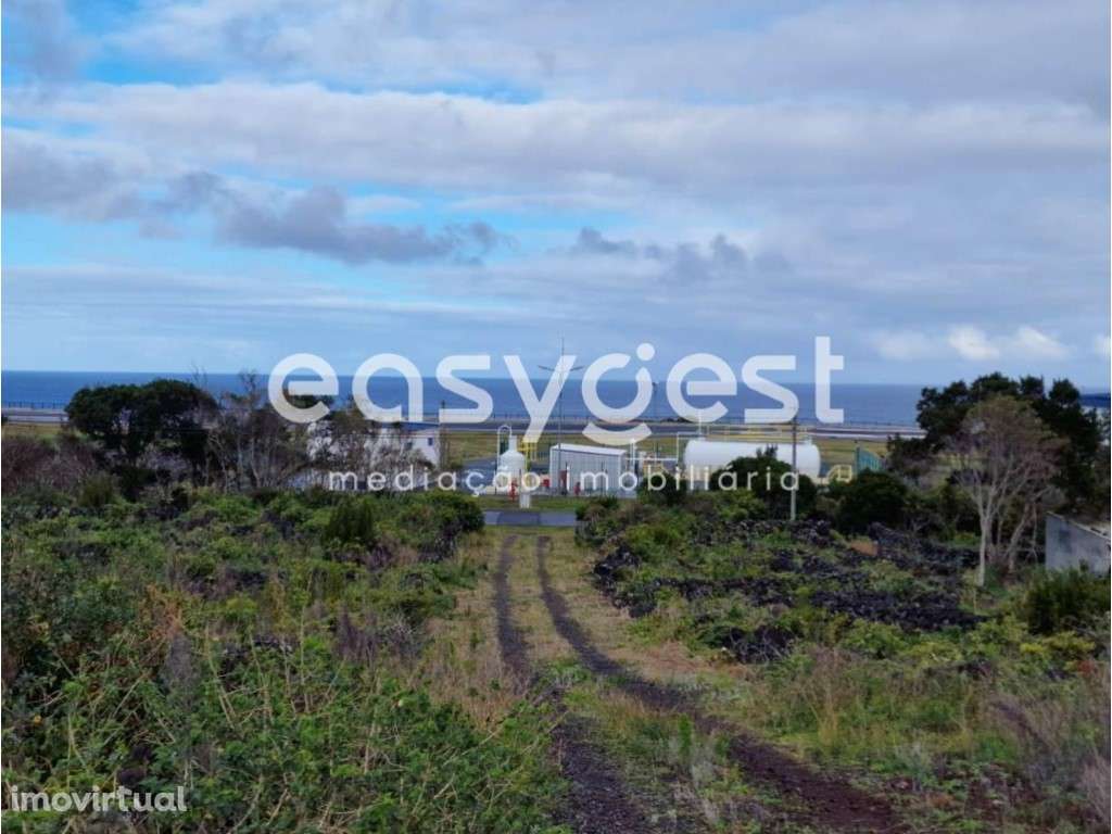 Terreno Rústico de vinha e arvoredo junto ao Aeroporto do Pico - Grande imagem: 2/15