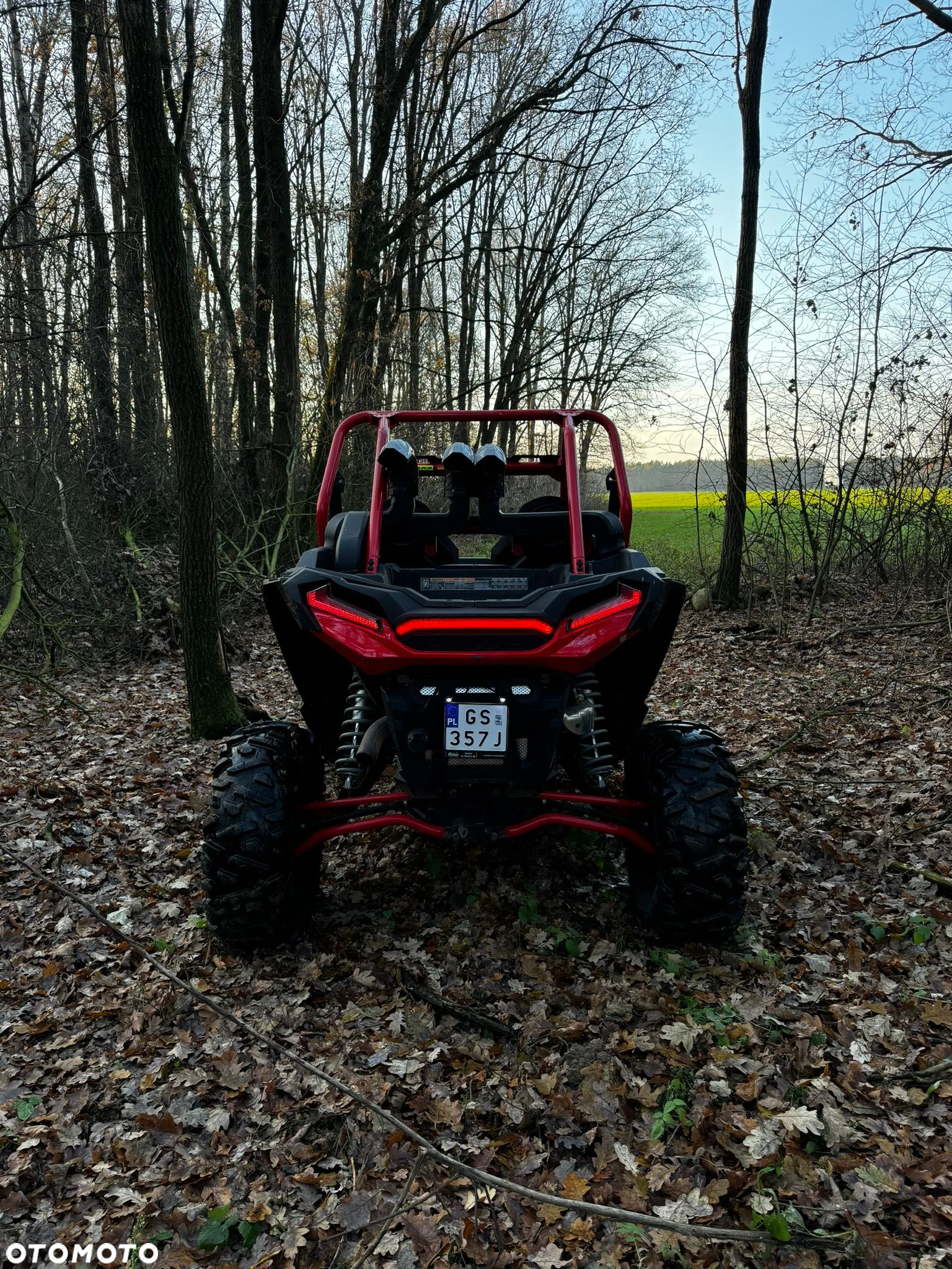 Polaris RZR - 6