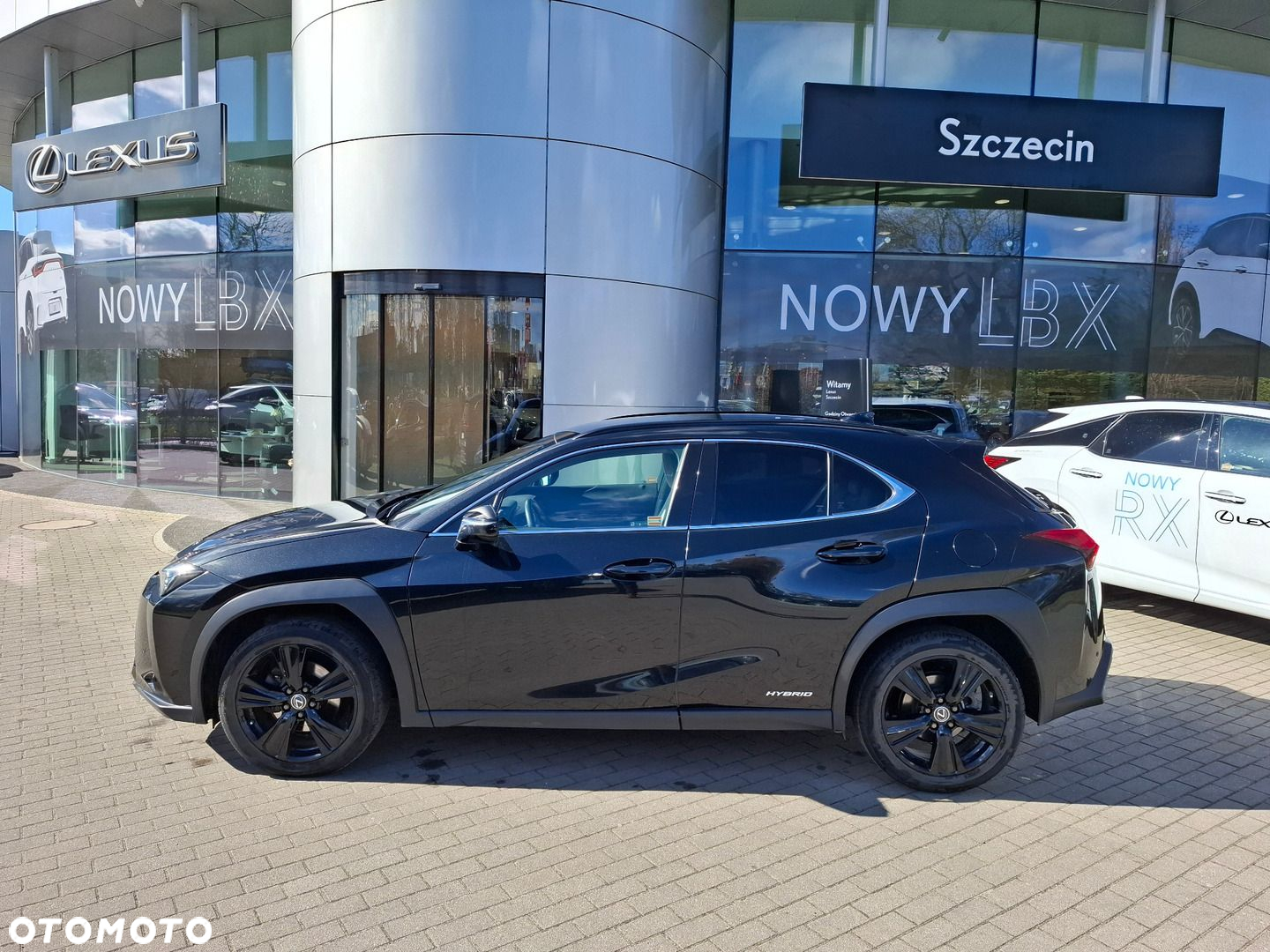 Lexus UX 250h GPF F Impression 2WD - 2