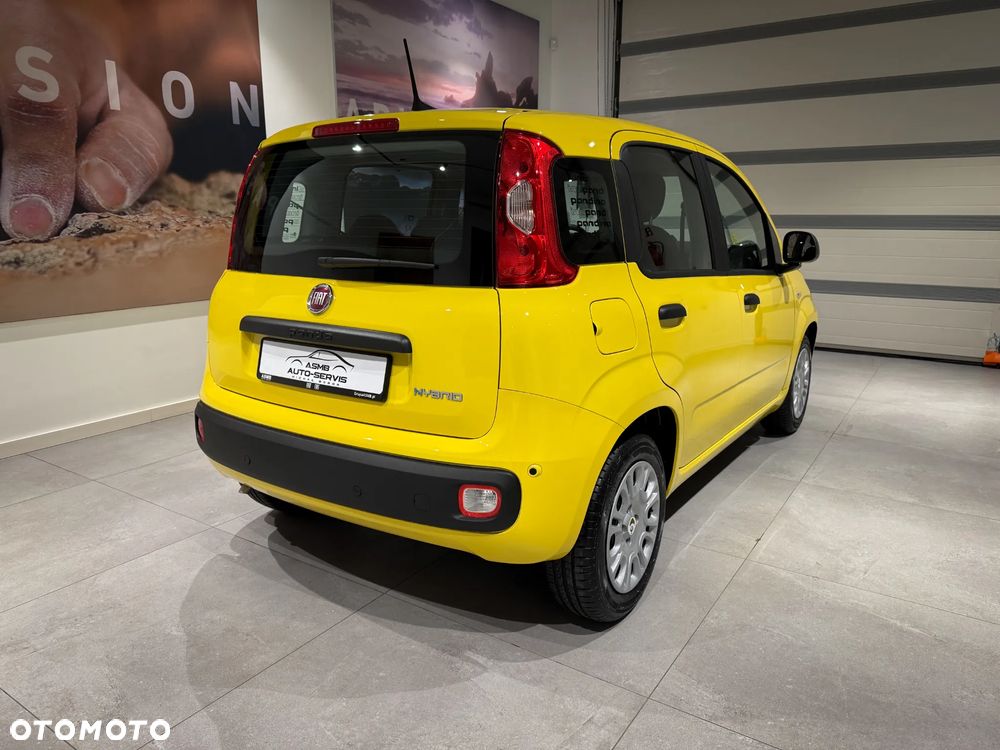 Fiat Panda 1.0 Hybrid Cross - 5