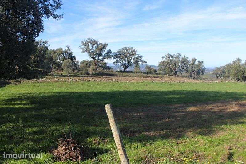 Terreno Aldeia Santa Margarida - Grande imagem: 2/9